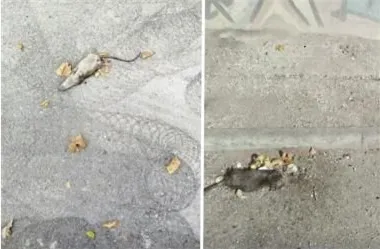 news-ekonomika-202214