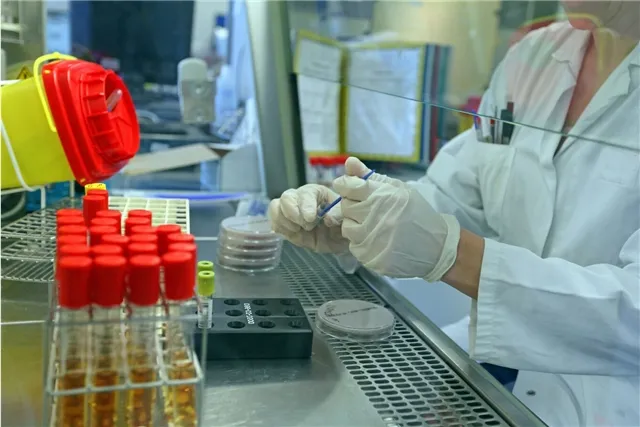 news-ekonomika-202228