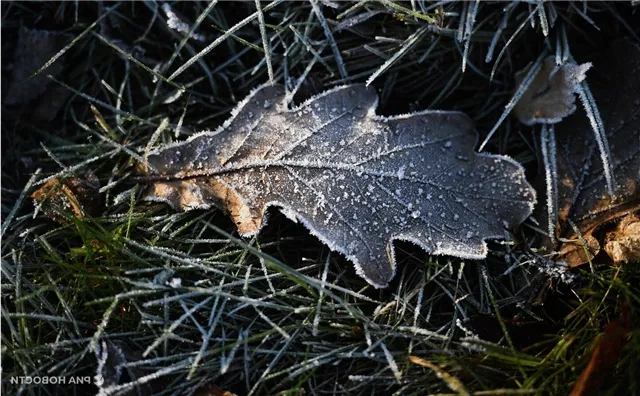 news-ekonomika-202881