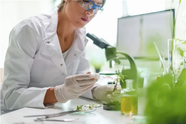 news-ekonomika-203119