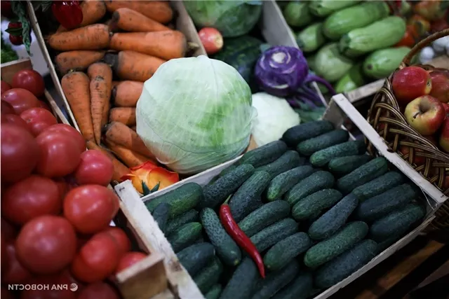 news-ekonomika-203135