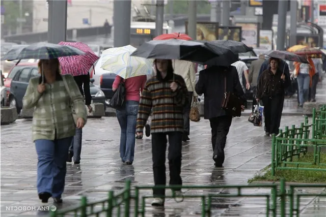 news-ekonomika-203661