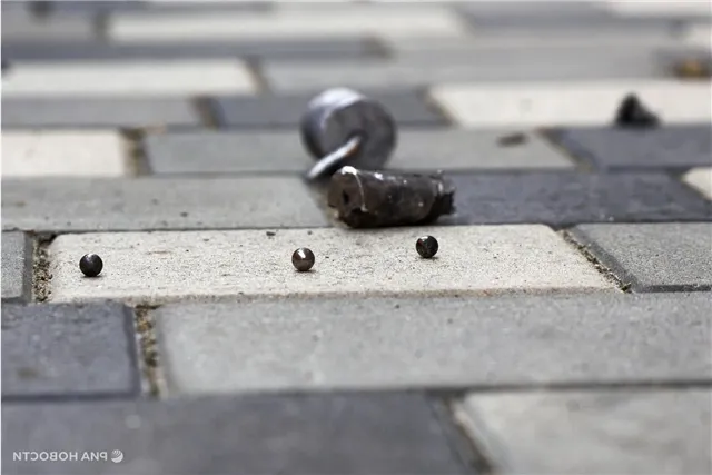 news-obshestvo-402121