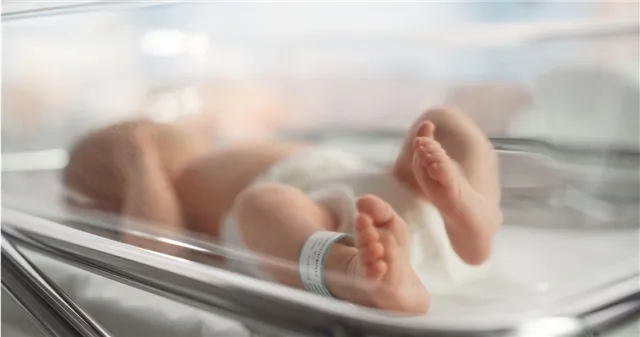 news-obshestvo-402150