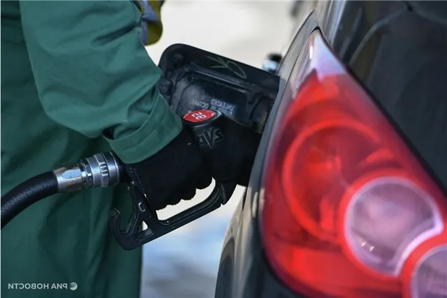 news-obshestvo-402209