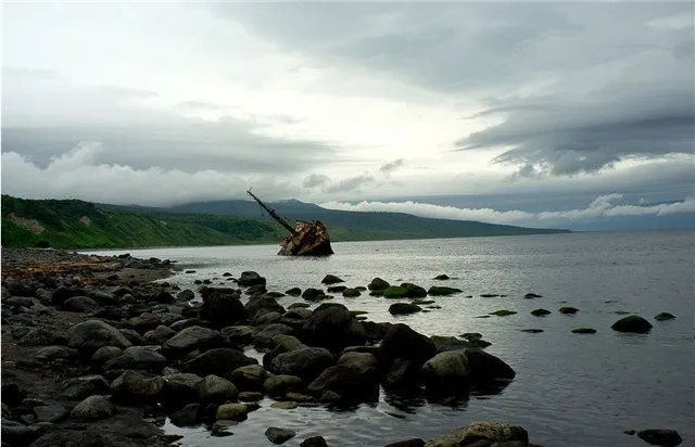 news-obshestvo-402607