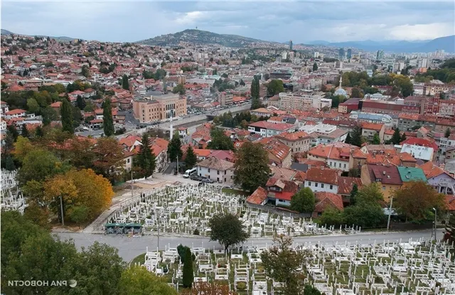 news-obshestvo-402642