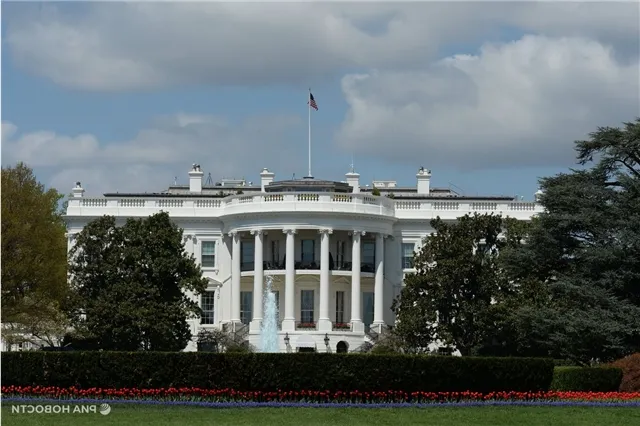 news-obshestvo-402644