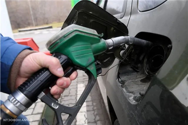 news-obshestvo-403641