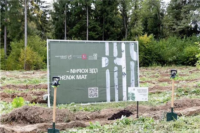 news-obshestvo-403764