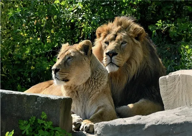 news-politika-302116