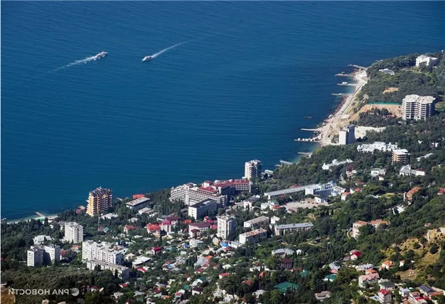 news-politika-302123