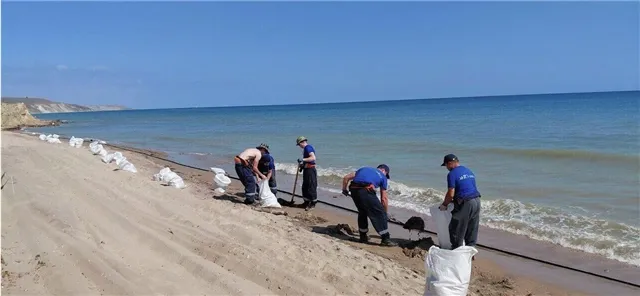 news-politika-302209