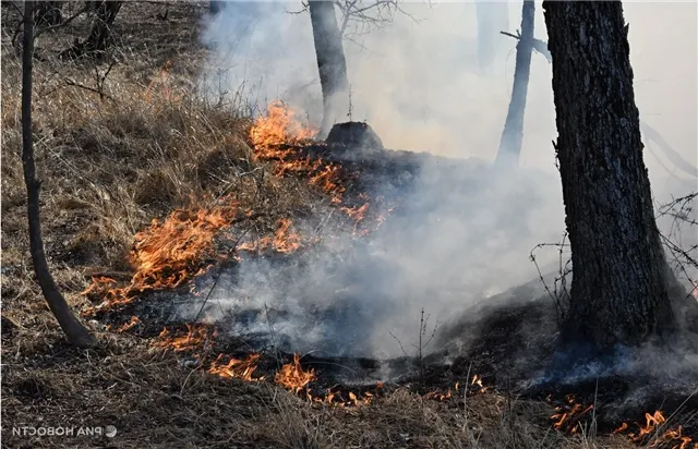 news-politika-302251