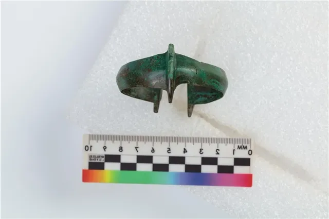 news-politika-302521