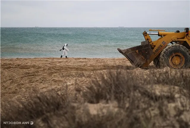 news-politika-303295