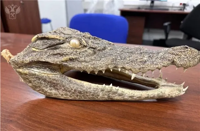 news-politika-303304