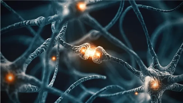 news-politika-303662