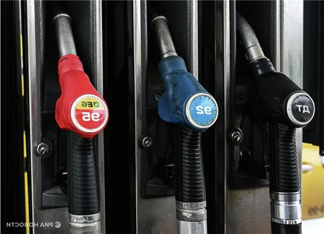 news-politika-303968