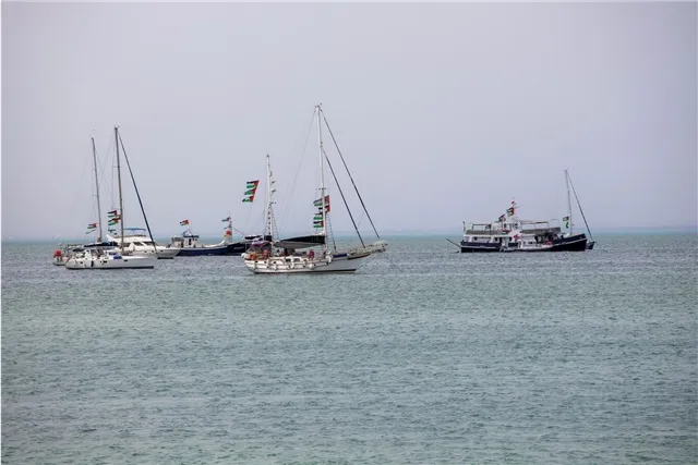 news-proishestviya-502027