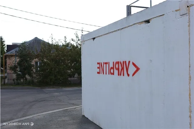 news-proishestviya-502168