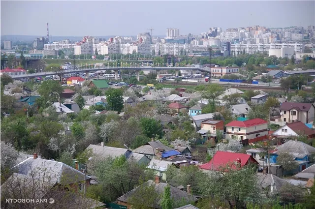 news-proishestviya-502421