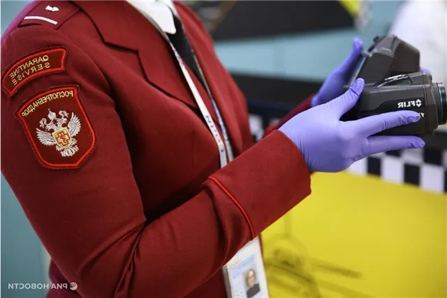 news-proishestviya-502458