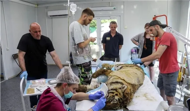 news-proishestviya-503115