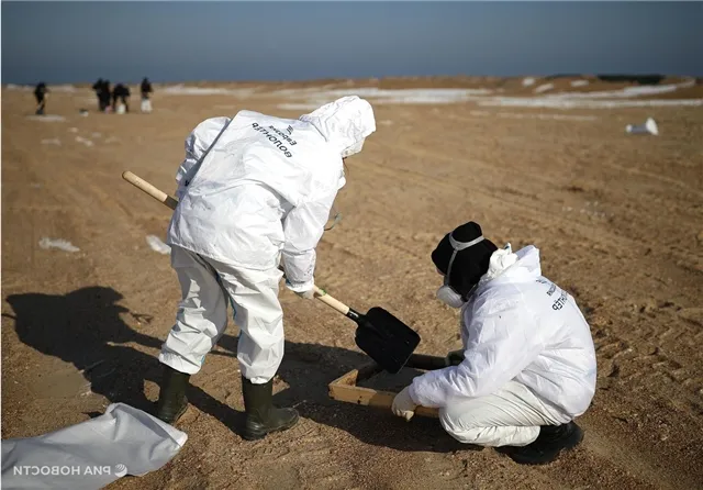 news-proishestviya-503174