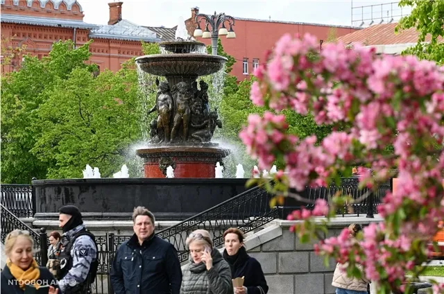 news-proishestviya-503199