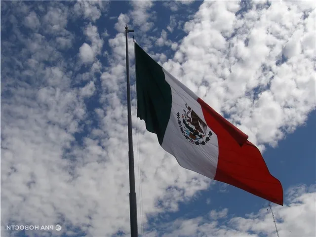 news-proishestviya-503420