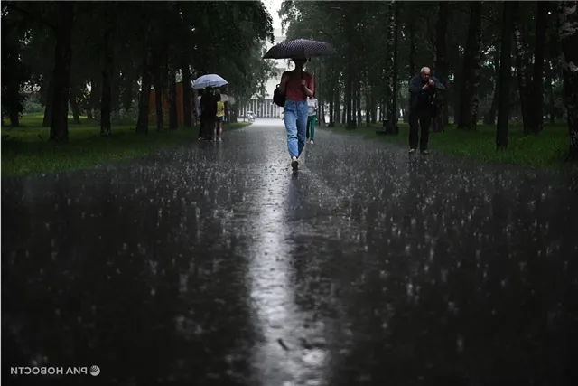 news-proishestviya-503760